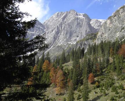 Eindrücke - Mitterbergalm und Umgebung