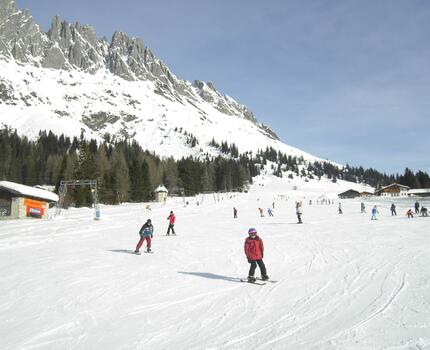 Eindrücke - Mitterbergalm und Umgebung