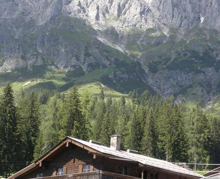 Eindrücke - Mitterbergalm und Umgebung