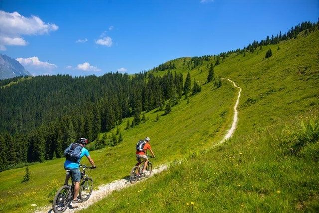 Zwei Mountainbiker fahren auf einem einen üppig grünen Hangweg,  umgeben von Kiefern und fernen Bergen