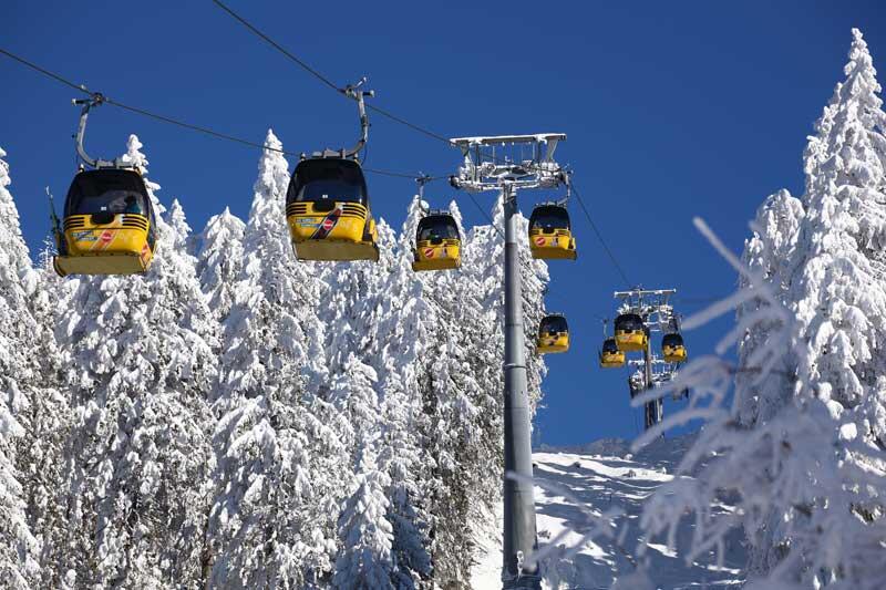 Gelbe Gondeln gleiten über schneebedeckte Bäume vor einem strahlend blauen Himmel